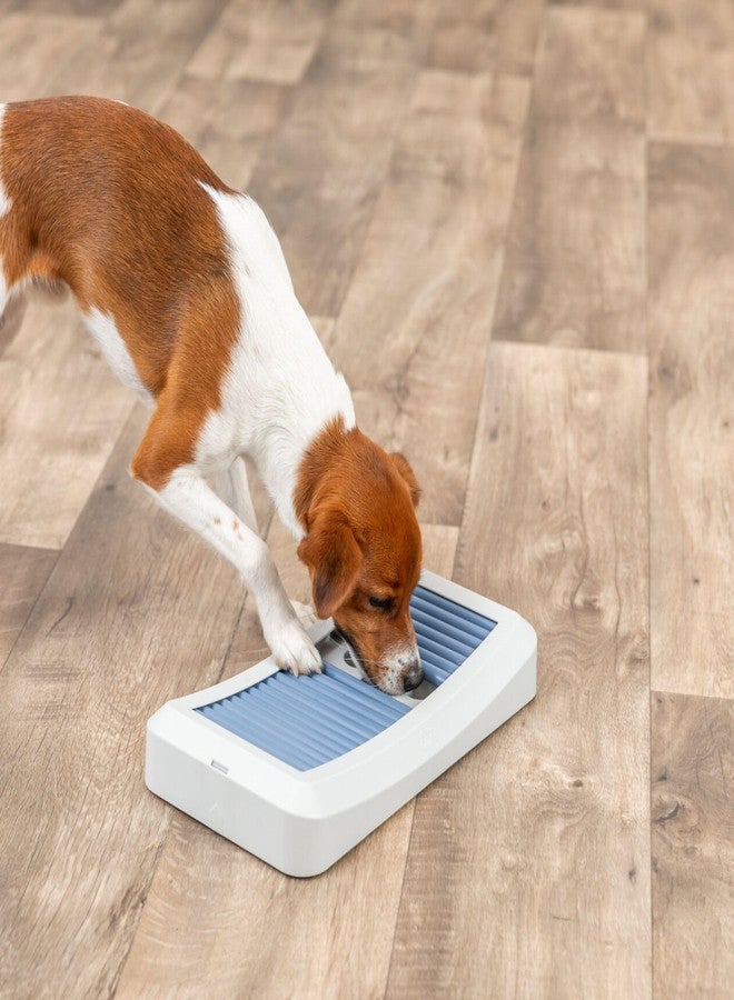 تريكسي لعبة تريكسي رود بورد التفاعلية للكلاب، لعبة ألغاز طعام من المستوى الأول، موزع مكافآت محفز للعقل، لعبة لتنمية الذكاء والقدرات العقلية للكلاب الذكية، لعبة مسلية للتخلص من الملل - Image 4